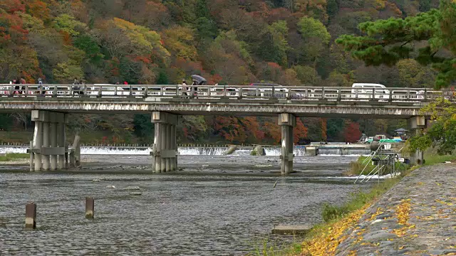 游客在日本京都岚山秋日参观月桥视频素材