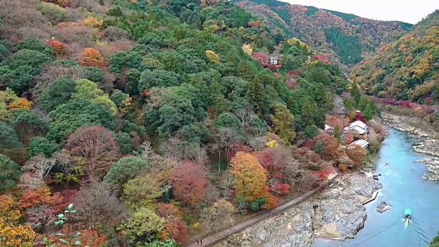 鸟瞰图秋桂河从岚山的观点，日本京都视频素材