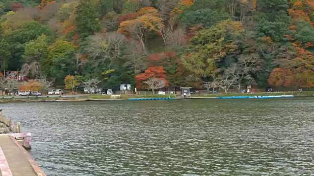 秋桂河，岚山，日本视频素材