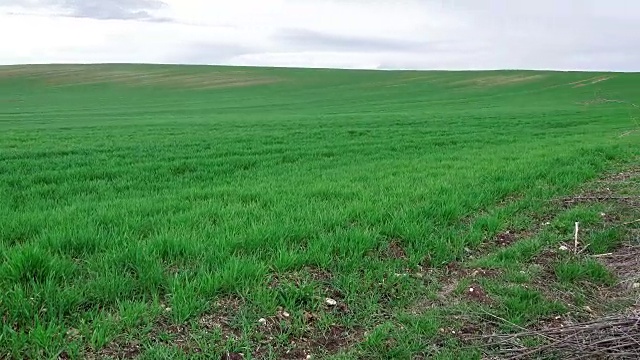 农田草地视频素材