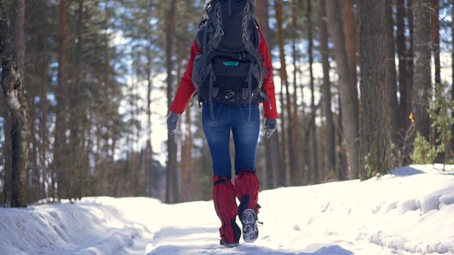 女游客走在森林里的雪道上。视频素材