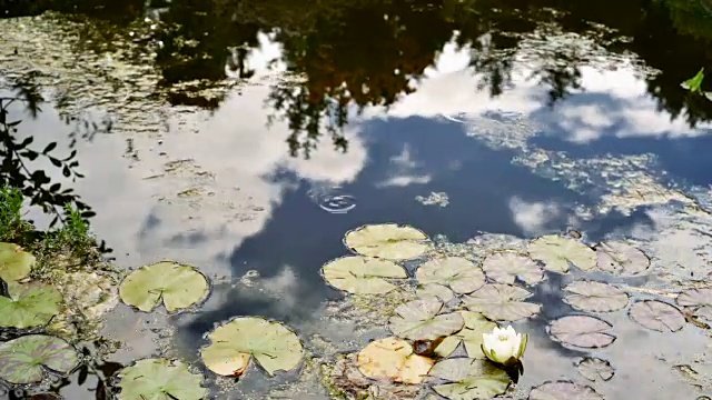 云朵倒映在池塘里——时间在流逝视频素材