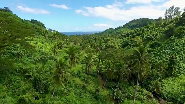 空中斐济丛林瀑布徒步旅行视频素材