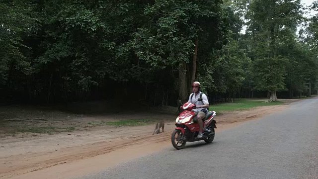 白人男子问候猴子，然后骑上他的摩托车离开视频素材