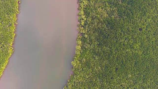 鸟瞰泰国的红树林，攀雅省，飞越红树林与美丽的阳光在早上视频素材