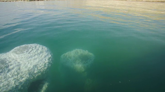 死海——地球上最低的地方，犹太沙漠以色列视频素材