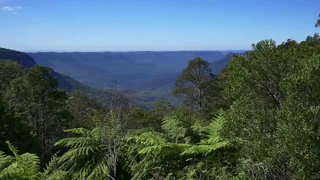 澳大利亚新南威尔士州蓝山视频素材