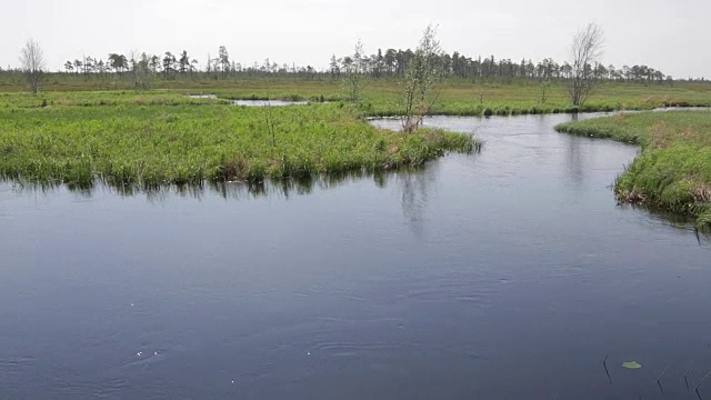 无名的河水随着春天的洪水快速流动视频素材