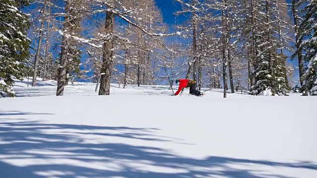 在刚下过的雪地上滑雪穿过森林视频素材