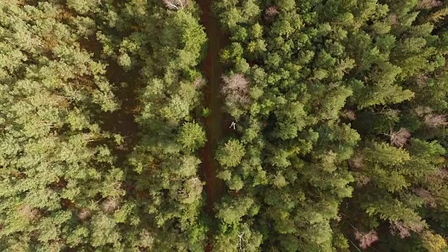 鸟瞰图:秋天巴伐利亚森林里的小路视频素材