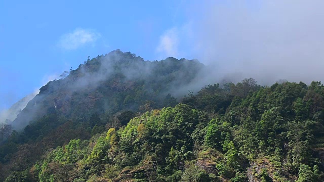 山上的雾视频素材