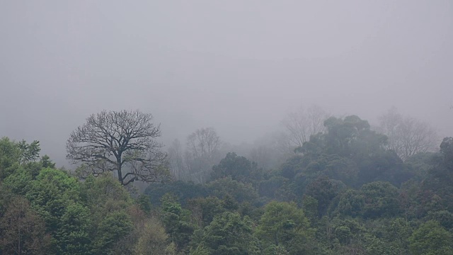 山上的雾视频素材