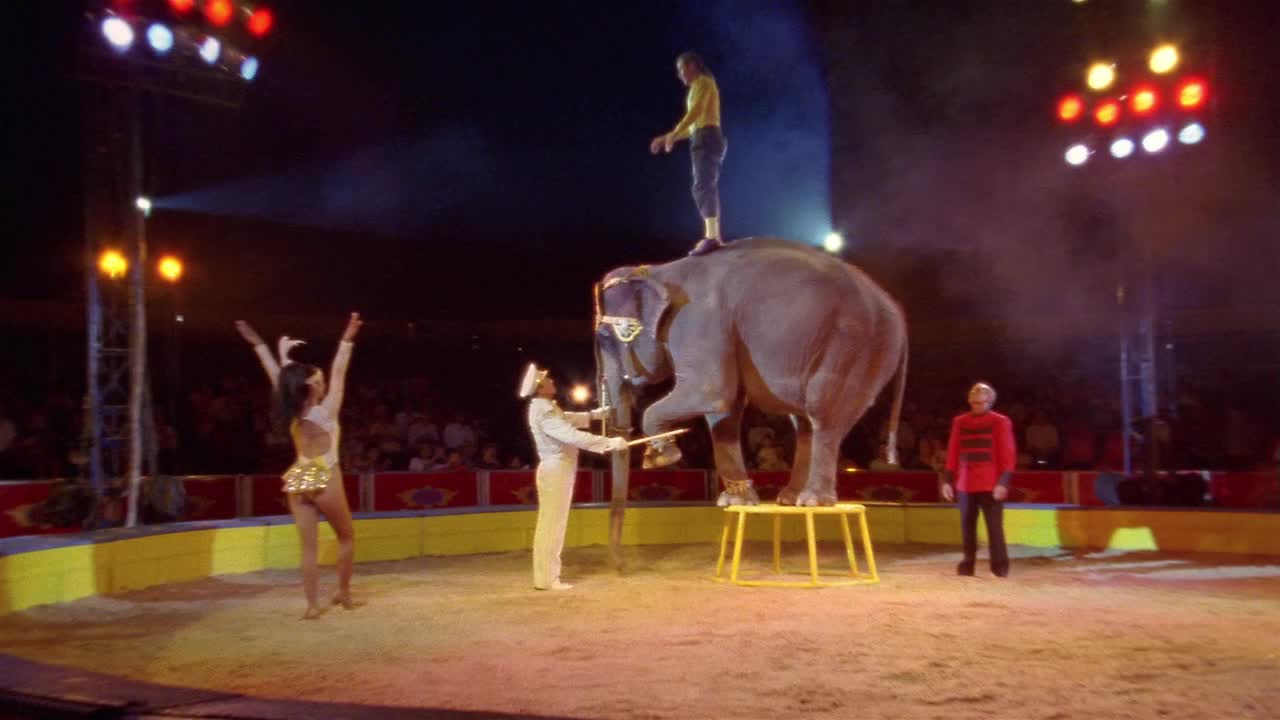 墨西哥Circo Atayde Hermanos，一名男子在大象上表演后空翻视频素材