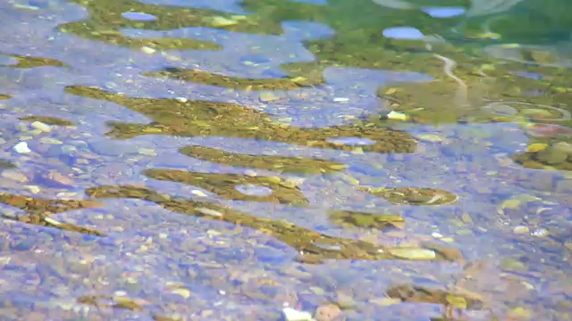 背景岩石上的水波视频素材