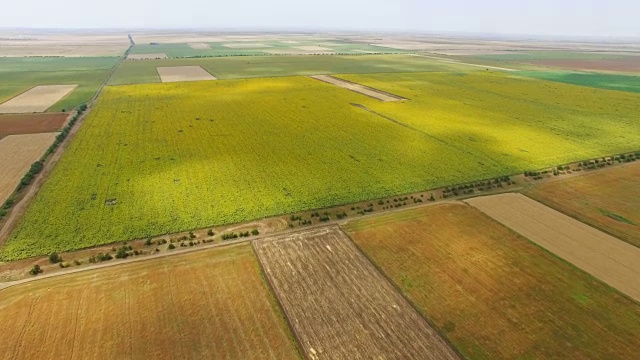 图片:农田里的农田景观视频素材