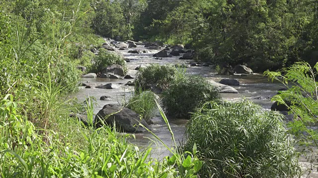 热带雨后的深山大河，岩石河岸上生长着茂密的异国森林，水流湍急，令人惊叹的河景。印尼巴厘岛视频素材