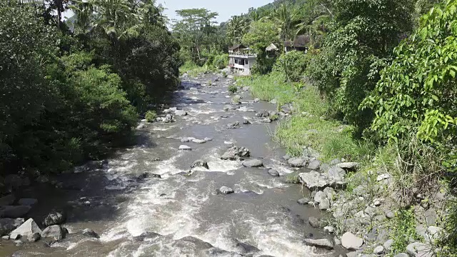 热带雨后的深山大河，岩石河岸上生长着茂密的异国森林，水流湍急，令人惊叹的河景。印尼巴厘岛视频素材