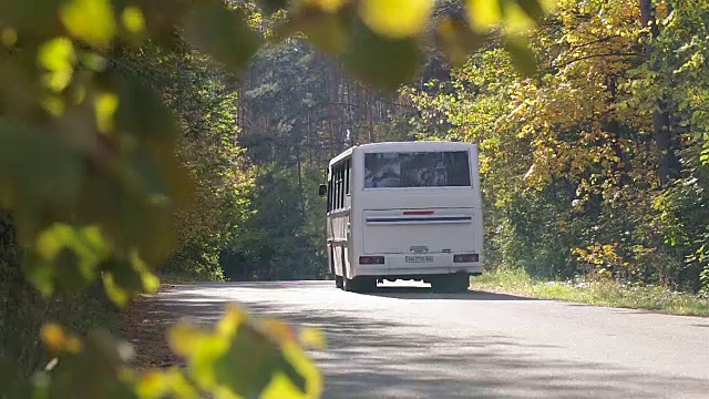 公共汽车和卡车在森林的道路上行驶。视频素材