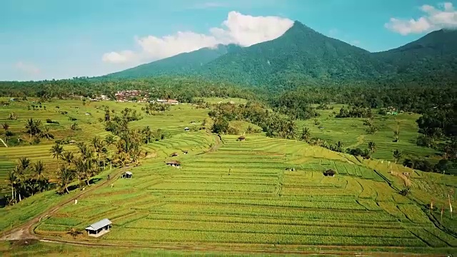 令人惊叹的水稻梯田周围的棕榈树和山脉背景4K视频素材