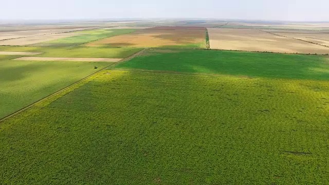 天线:绿色的农田视频素材