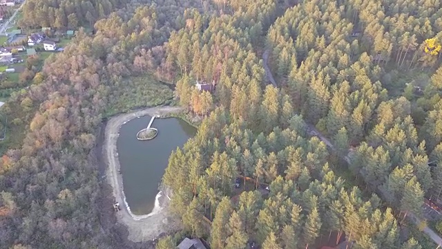 鸟瞰森林中的池塘，秋天的时候。自然和景观，鸟瞰图的森林和池塘，秋天的叶子，树叶，绿色植物和树木在一个荒野景观视频素材