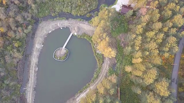 鸟瞰森林中的池塘，秋天的时候。自然和景观，鸟瞰图的森林和池塘，秋天的叶子，树叶，绿色植物和树木在一个荒野景观视频素材