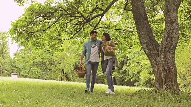 在公园野餐时，一对年轻的幸福夫妇手牵着手，互相交流。视频素材