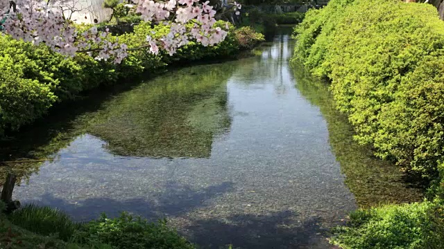 清澈，洁净的水从观音流下。视频素材