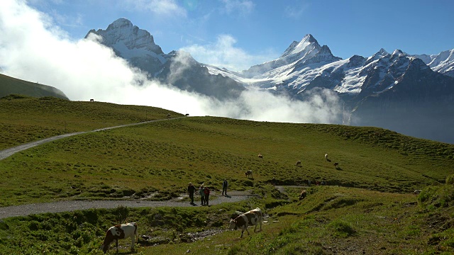 欧洲，瑞士伯尔尼斯阿尔卑斯山，格林德沃徒步旅行视频素材