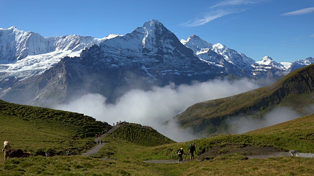 在欧洲瑞士伯尔尼阿尔卑斯山，格林德沃徒步旅行视频素材