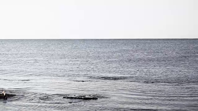 海面上荡漾着水花视频素材