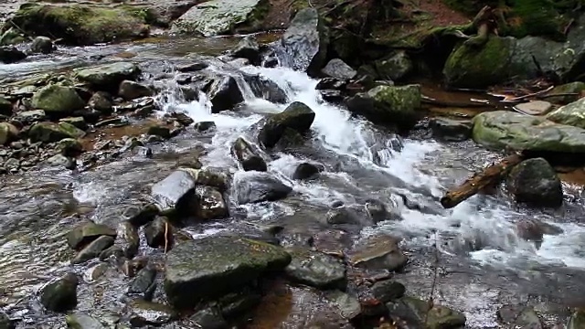 森林中多山的河流视频素材