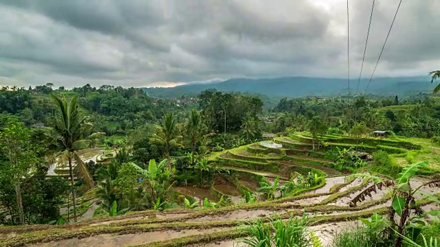 印尼巴厘岛的Jatiluwih大米改造视频素材