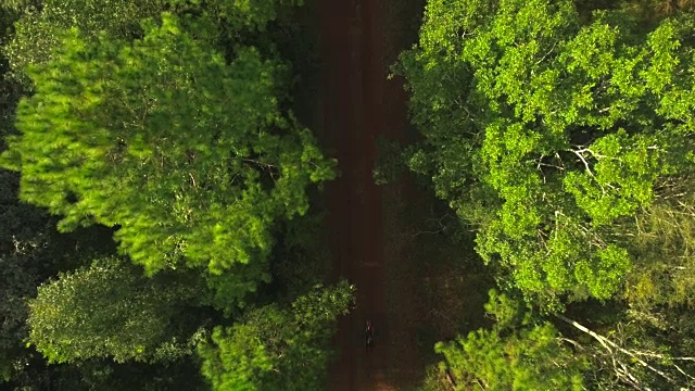 无人机航拍的冒险旅游自行车骑手在森林的道路上视频素材