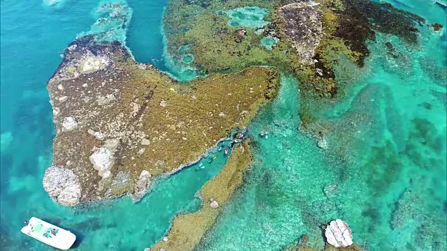 无人机拍摄;鸟瞰潜水者在日本北海道Shakotan半岛海岸附近的岩石中游泳。视频素材