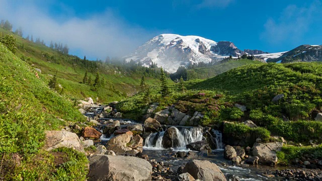 雷尼尔山， 华盛顿州美国视频素材