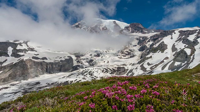 雷尼尔山， 华盛顿州美国视频素材