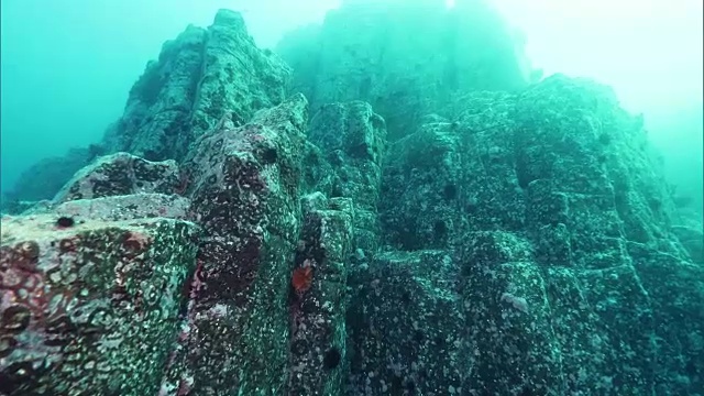 水下拍摄;摄影从日本北海道沙可滩半岛海岸拍摄的水下柱状接头。视频素材