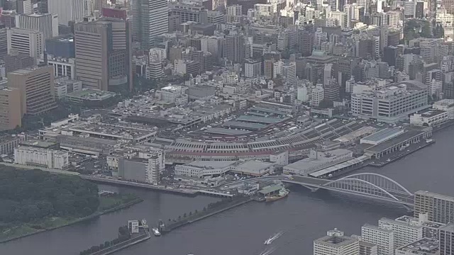 日本东京，筑地和丰雄市场视频素材