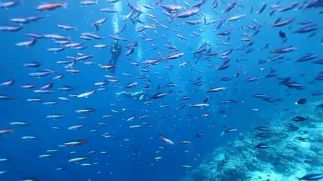 它是马来西亚塔瓦乌市的一所武装兵团和潜水学校视频素材