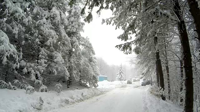 在冬天的时候，山上有一条空旷的雪覆盖的道路，两边都是树。视频素材