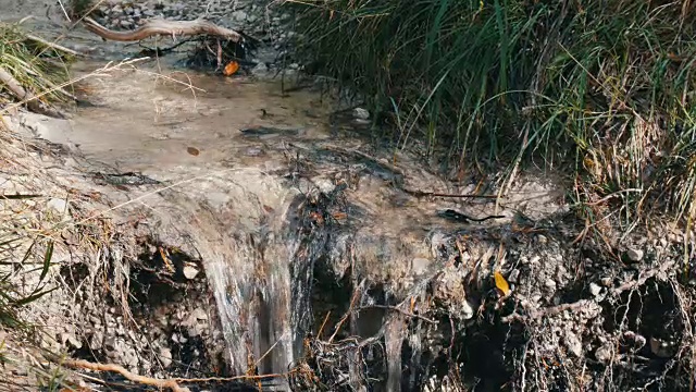 快速流动的山水近距离观看。纯净的山溪，清澈的水，流过一片绿色的区域视频素材