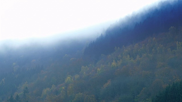 德国秋天的艾菲尔山上漂浮着云朵视频素材