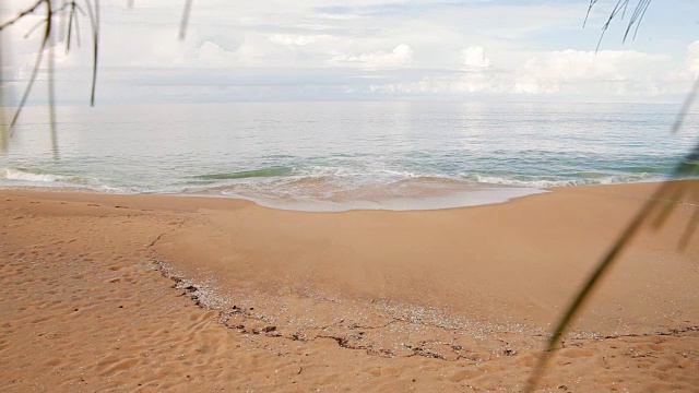 柔软的海浪在沙滩上。蔚蓝的天空和蔚蓝的大海。透过棕榈树的叶子观看。普吉岛,泰国视频素材