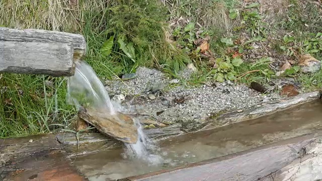 纯净的山溪，清澈的水，流过一片绿色的区域。快速流动的山水近距离观看。森林中河流的特写，流水的细节视频素材