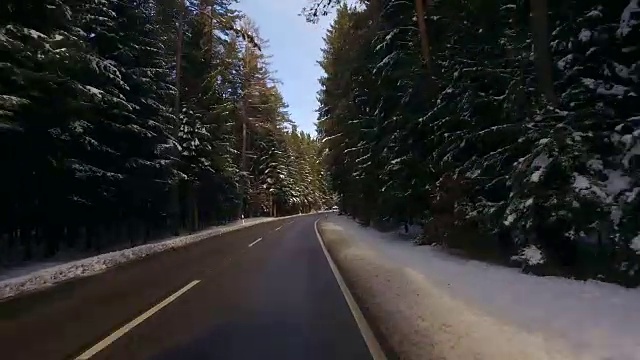 开车穿过白雪覆盖的黑森林视频素材