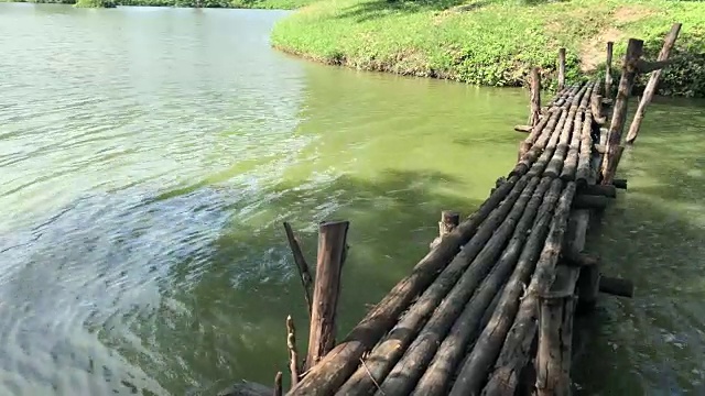 大自然的绿草和木桥，视频视频素材