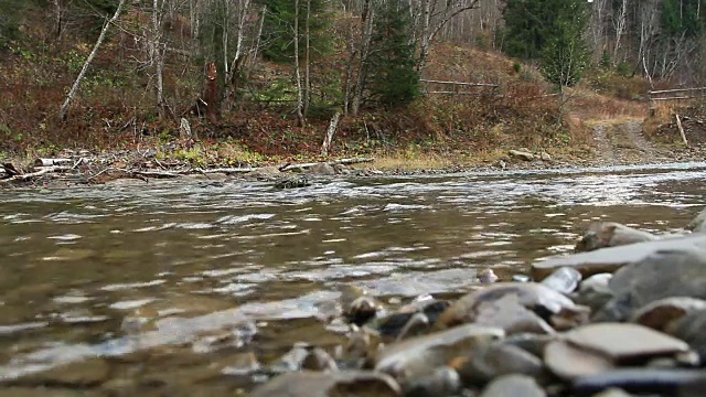 喀尔巴阡山脉森林中的普鲁特河视频素材
