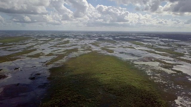 从空中俯瞰佛罗里达大沼泽地视频素材