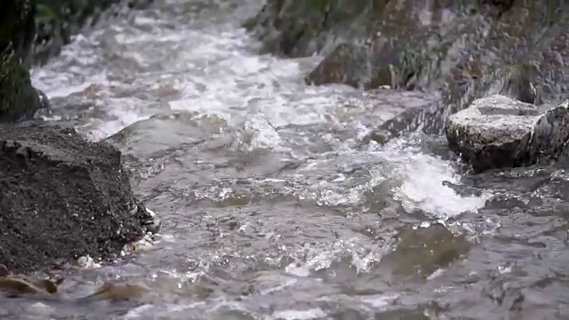 水流过岩石视频素材